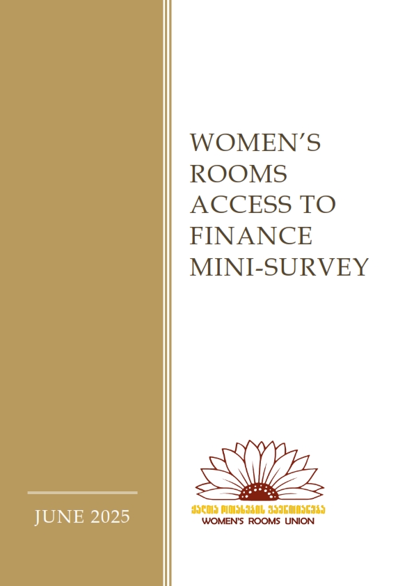 WOMEN’S ROOMS ACCESS TO  FINANCE  MINI-SURVEY